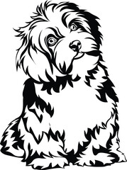 Cartoon Black and White Isolated Illustration Vector Of A Pet Havanese Puppy Dog Sitting Down