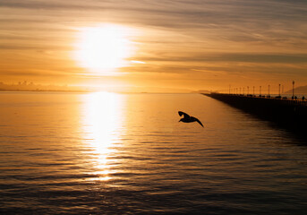 Sunset Over San Francisco Bay From Berkeley Marina