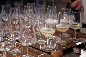 Many small tasting glasses of sparkling wine champagne on winter festival in December, Avenue de Champagne, Epernay, Champagne region, France
