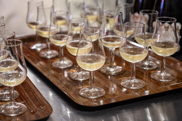 Many small tasting glasses of sparkling wine champagne on winter festival in December, Avenue de Champagne, Epernay, Champagne region, France