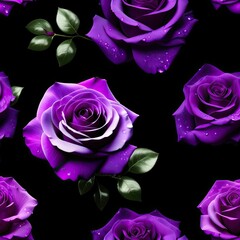 Dark violet rose isolated on dark background