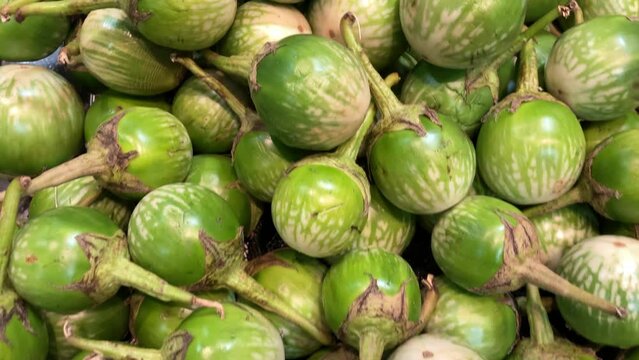 thai eggplant at an asian food market
