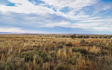 Vast Sky over Flinders Ranges Grassland