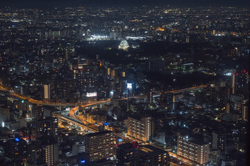 Fototapeta na wymiar 名古屋城が見える夜景