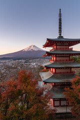 See Mount Fuji with Chureito pagoda in an autumn morning, Yamanashi, Japan - 697445773