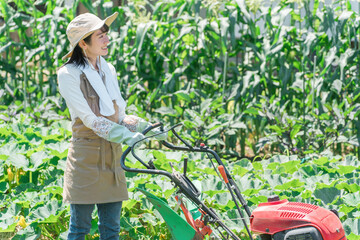 畑を小型トラクターで耕す農家のアジア人女性（農業・田舎暮らし）
