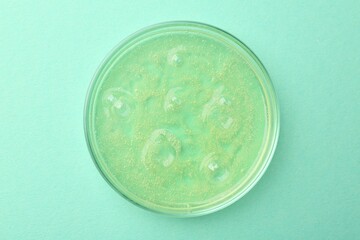 Petri dish with color liquid sample on light blue background, top view