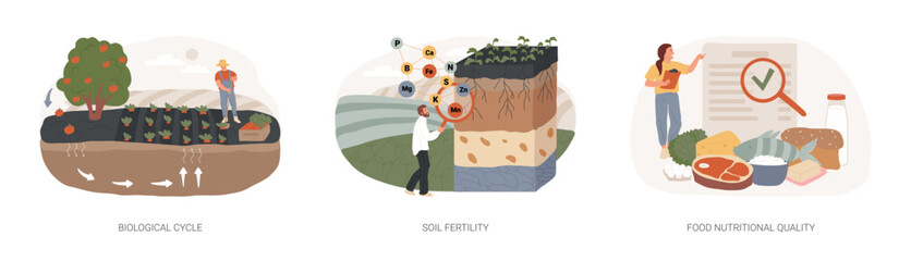 Organic farming isolated concept vector illustration set. Biological cycle, soil fertility, food nutritional quality, plant uptake and harvest, crop rotation, organic fertilizer vector concept. - 697450904