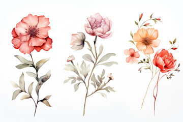 Watercolor paintings various types of Asian flowers on a white paper background.