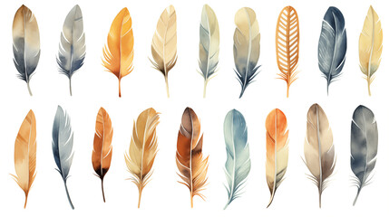 Cute Boho collection, featuring a set of bird feathers on a white background.