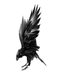 a drawing of a raven bird on a white background