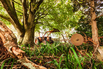 old vintage farm equipment surrounded by nature overgrowth