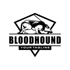Bloodhound sniffing logo design vector - obrazy, fototapety, plakaty
