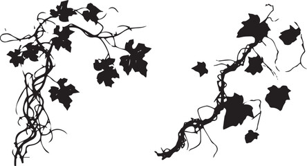 Leaf on dry branches silhouette vector collection - obrazy, fototapety, plakaty