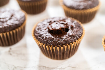 Baking Chocolate Cupcakes with Decadent Chocolate Frosting