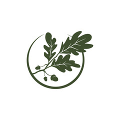Obraz na płótnie Canvas Oak tree logo. Acorn vector.