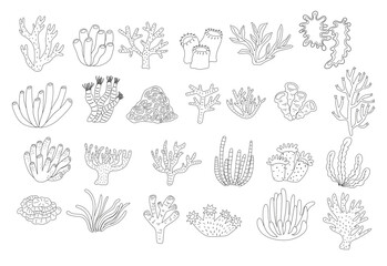 Collection of coral reefs and seaweed line art illustration for coloring page - obrazy, fototapety, plakaty