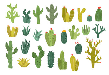 Collection of wild cactus plant vector illustration