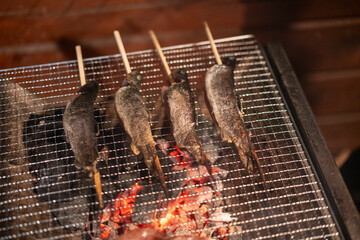grilled fish on the grill