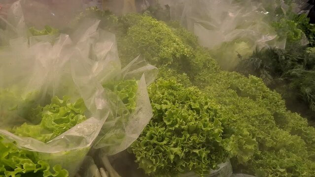 Greens and green herbs are blown with moisturizing steam on supermarket counter closeup