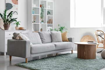 Interior of light living room with sofa, shelf unit and houseplants