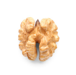 Tasty walnut on white background
