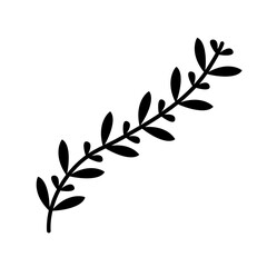 leaves silhouette of beautiful plants, leaves, plant design. Vector illustration .