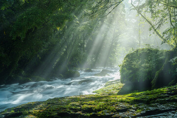 熊本-【菊池渓谷の光芒】 © 潤 平川