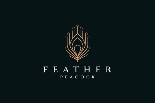 Peacock Feather Logo Icon Design Template Line Art Style Vector