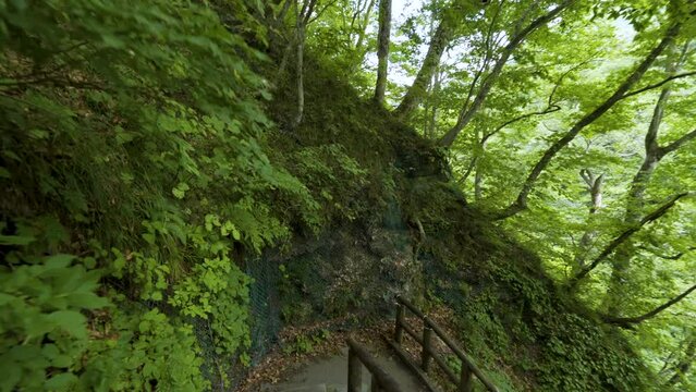 Cinematic gimbal shot of forest trail leading to steam vents at Oyasukyo Gorge in Akita prefecture in Japan