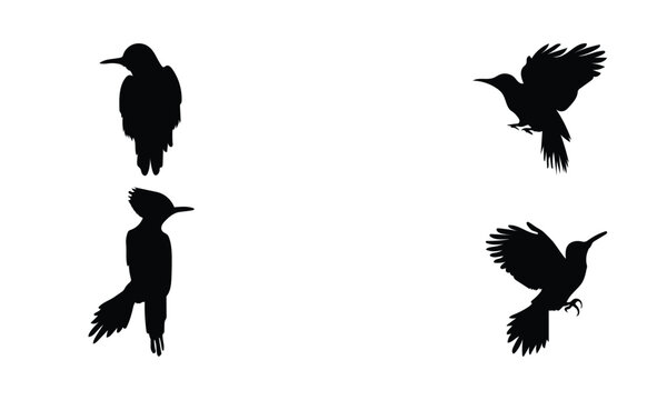 Woodpecker silhouettes set vector illustration (black And white) 