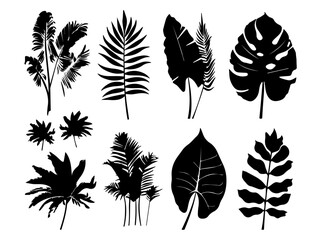 Fototapeta na wymiar Set of black silhouettes of leaves and flowers. Vector illustration.