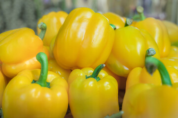 Stock of yellow bell peppers