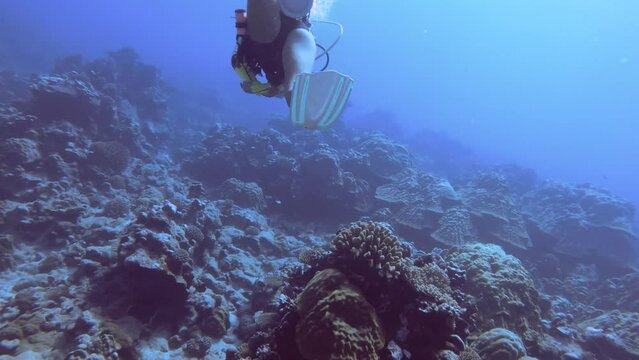 handhold still view of a female scuba diver wearing half wet suite and white fins swimming kicking underwater above corals sandy bottom in the blue turquoise ocean sea world in pacific Edna's Anchor