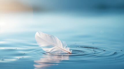 Light feather floating on water.