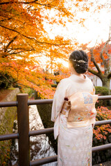 Maple leaves turning red in the autumn season in Kyoto. Back view a woman wearing Japanese traditional kimono walking on Philosopher's Path ( Tetsugaku No Michi ). Fall foliage in Japan.