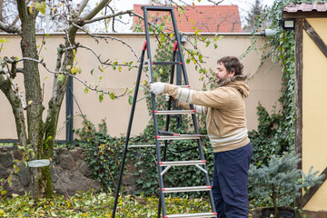 Male gardener using ladder pruning branches of fruit trees in orchard using saw or battery powered secateurs or shears in autumn.