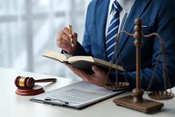 Lawyer, legal advisor, businessman reading and using pen pointing at legal code information...