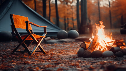 camp fire in the forest - obrazy, fototapety, plakaty