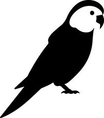 Obraz premium Parakeet Flat Icon