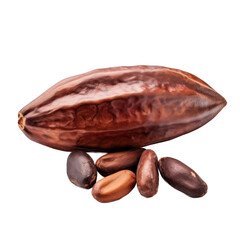 cocoa seeds isolated on white or transparent background