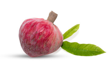 Ripe Annona reticulta or wild sweetsop, custard apple fruit, Rare medicinal fruit ramphal - obrazy, fototapety, plakaty