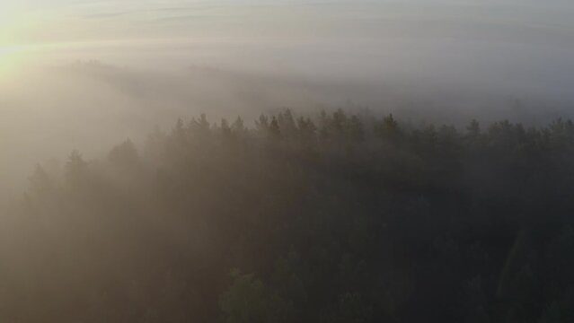 A glorious morning cinematic aerial shot of the golden rays of sun illuminating a hilltop of a forest covered in thick fog