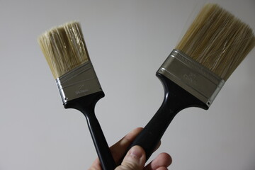 Paint Brushes in Front of White Background