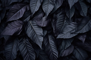 15+ Free black leaves wallpaper pictures - PikWizard