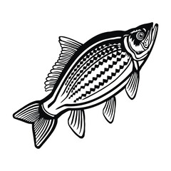 Common Carp - American Fishes - Logo Fish