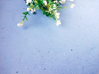 Bouquet of white flowers on a blue background with space for text