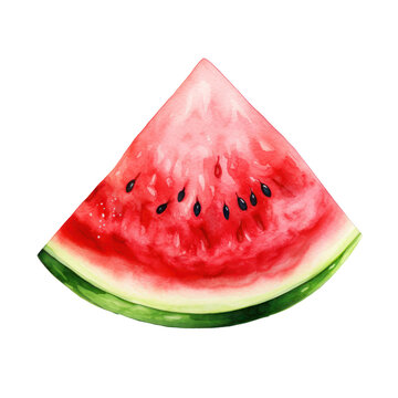 watermelon watercolor 