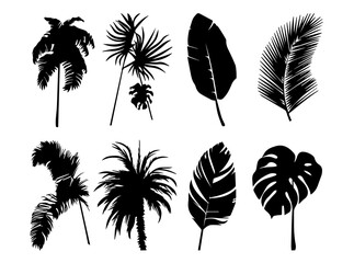 Fototapeta na wymiar Set of black silhouettes of leaves and flowers. Vector illustration.