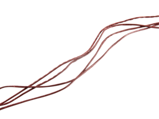 Leather rope isolated on white background.